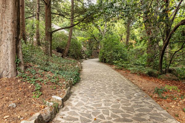 Stone Walkway Repair in Antioch