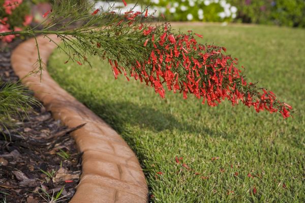 Brick Edging in Antioch