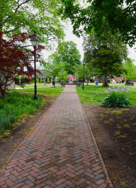 Brick Pathway Repair in Antioch