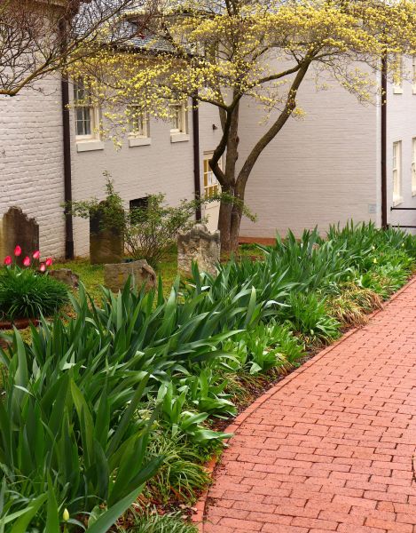 Brick Flatwork Repair in Antioch